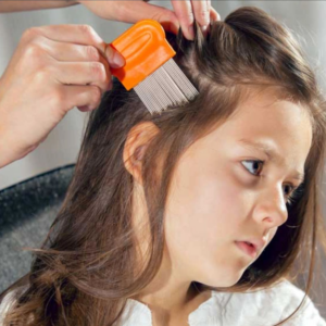 A girl is being checked for lice with a fine-toothed comb.